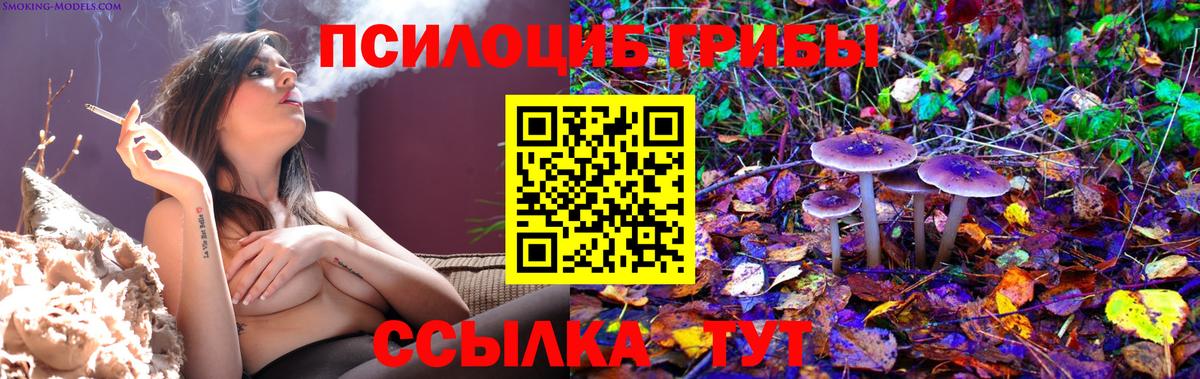 Набережные Челны  Псилоцибиновые грибы прущие грибы  Псилоцибиновые грибы мицелий  Вход с VPN 